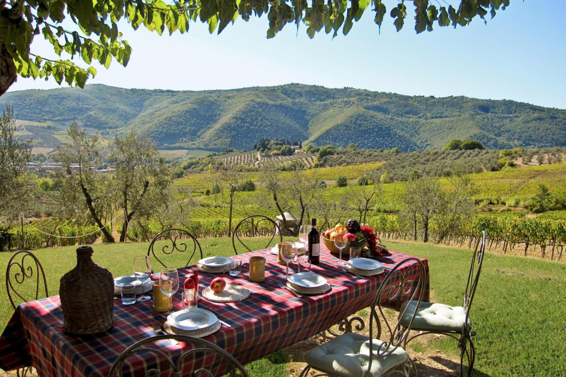 Cozy wine farm near Florence