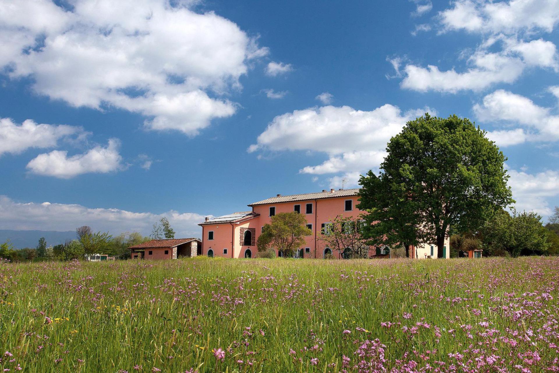 Cozy agriturismo just 6 km from Lucca