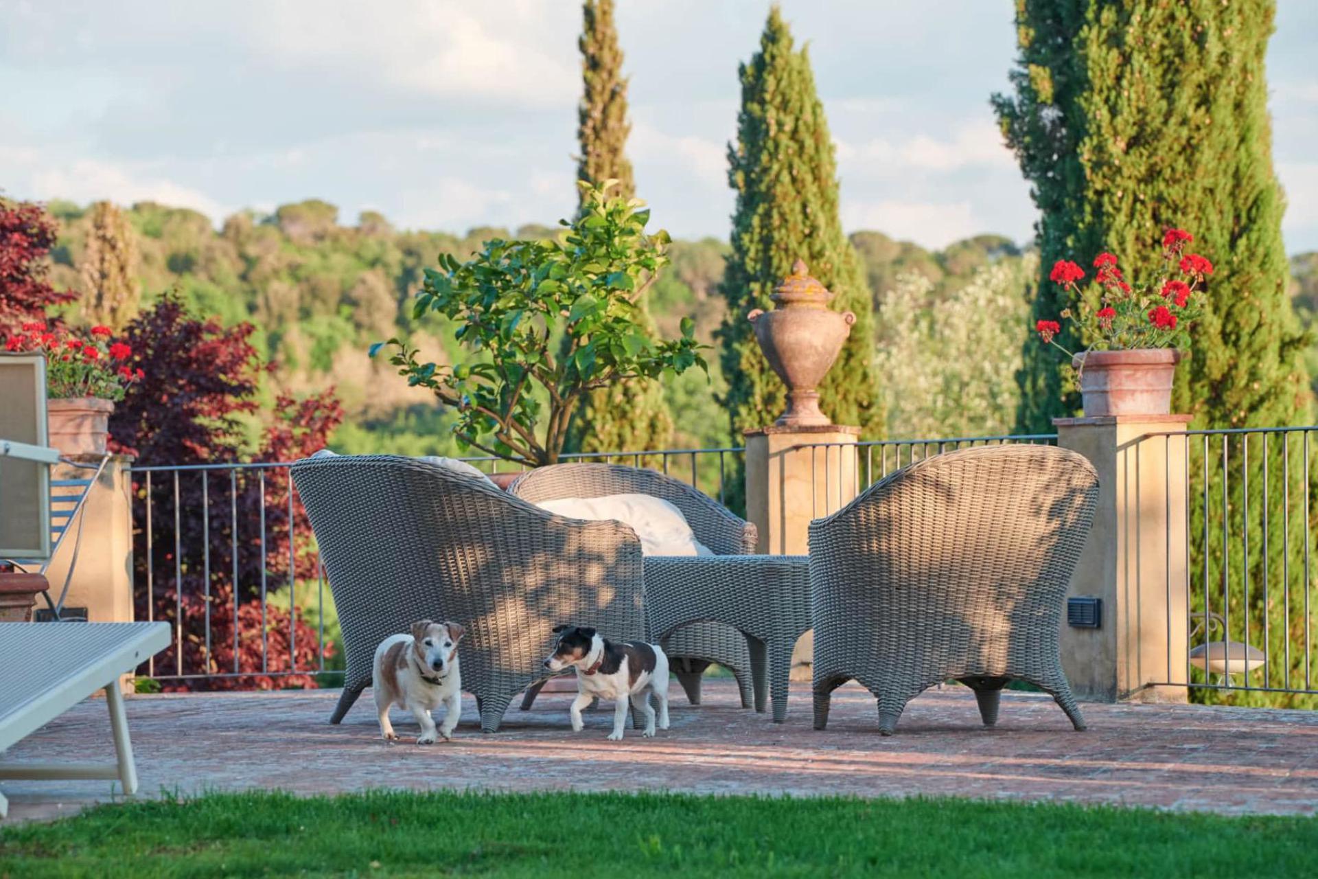 Stylish and authentic agriturismo in the Chianti region