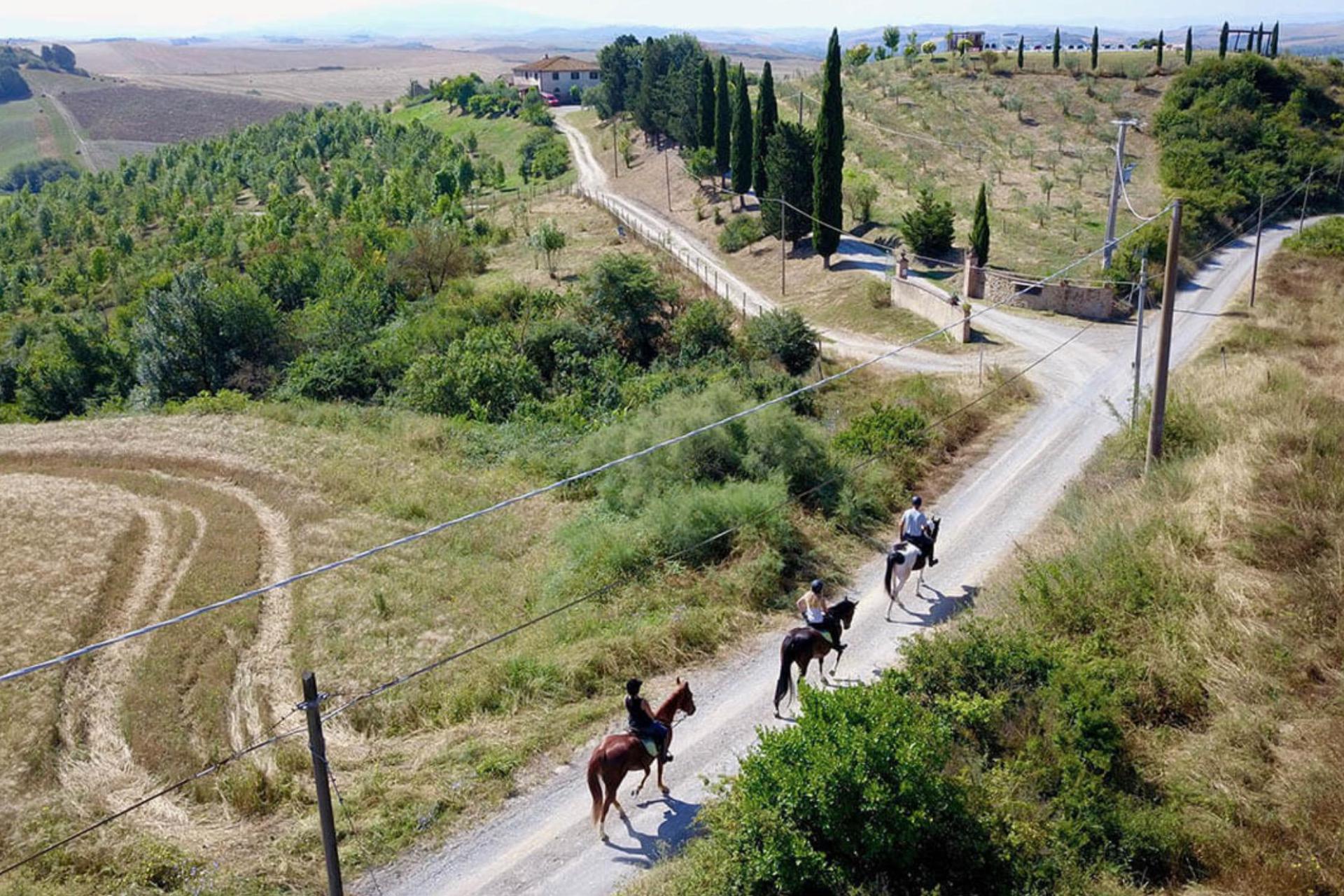 Authentic agriturismo in Tuscany with great views