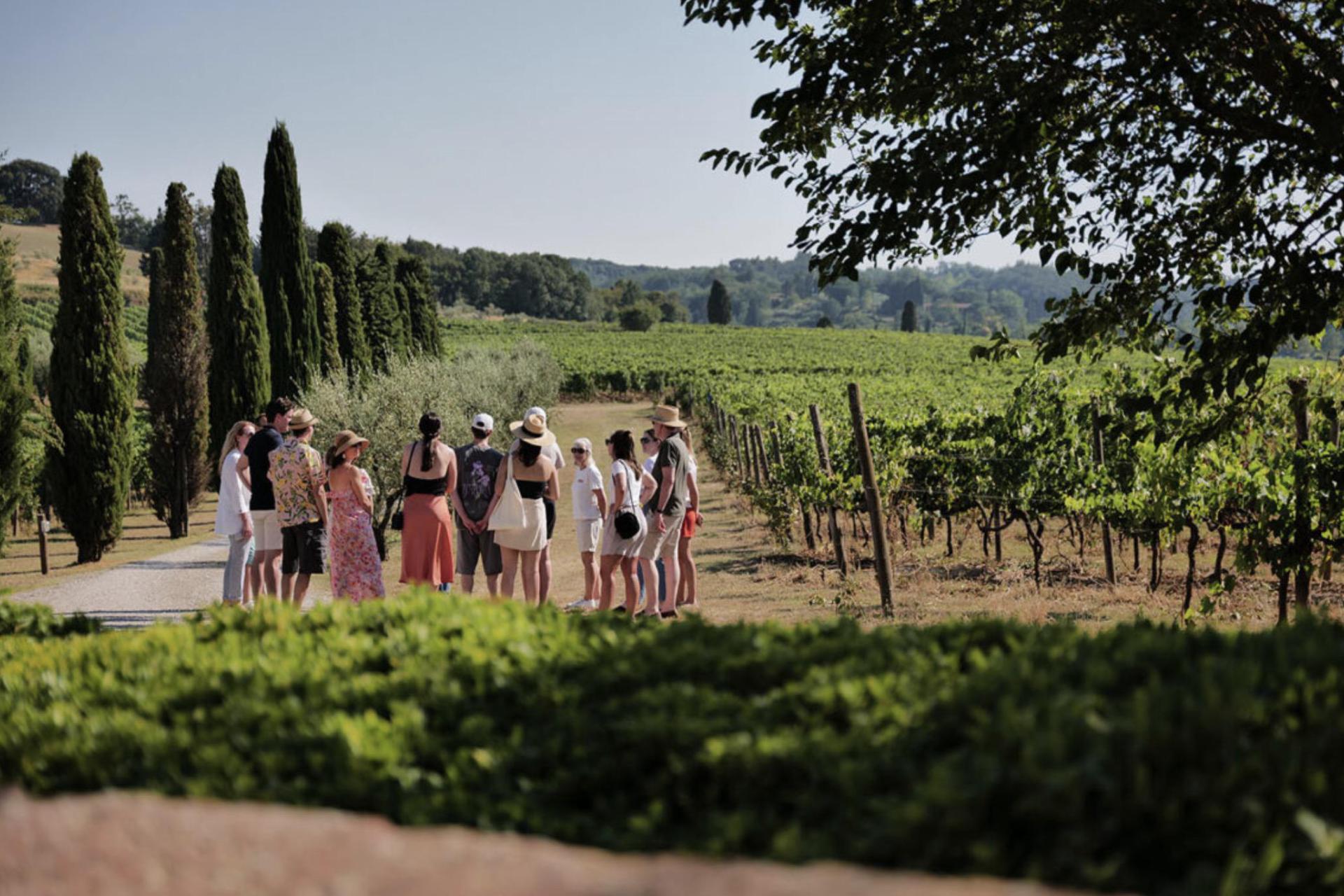 Luxe agiturismo en wijnboerderij bij Pisa